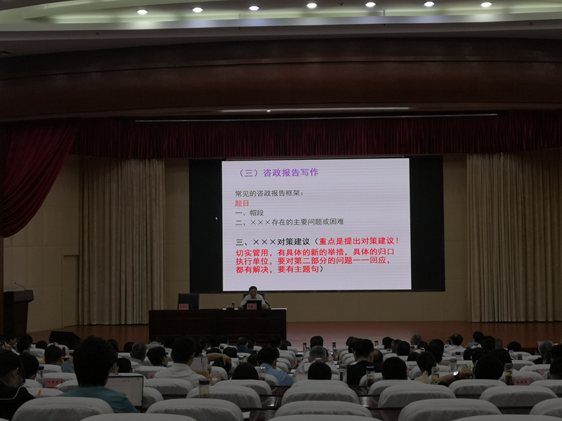 辅导咨政报告撰写