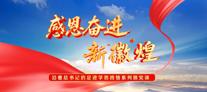 感恩奋进新“徽”煌——沿着总书记的足迹学思践悟系列微党课